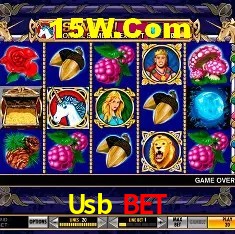 Apostas Esportivas na Usb Bet: Um Guia Completo